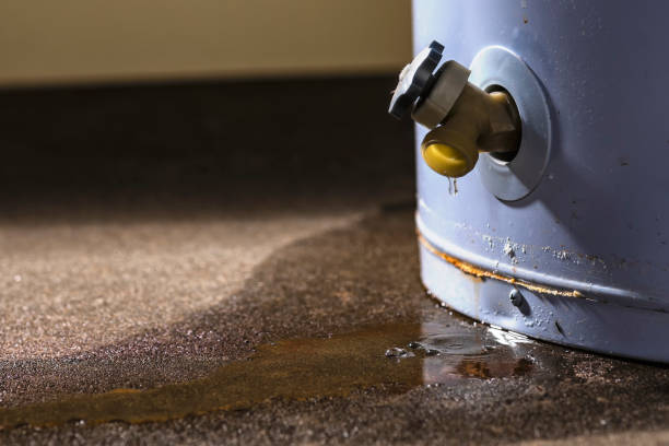 Best Water damage restoration company  in Leon Valley, TX