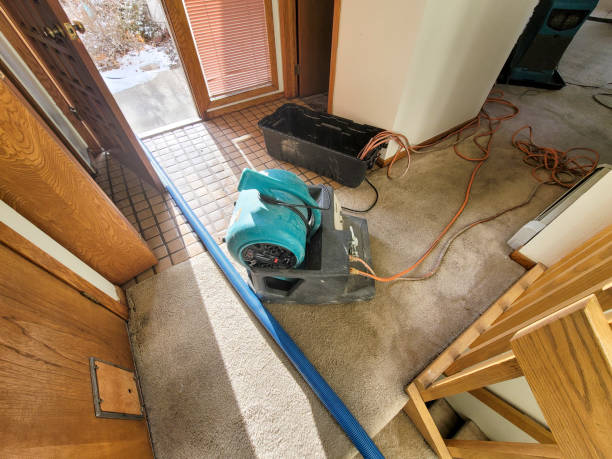 Best Water damage restoration near me  in Leon Valley, TX