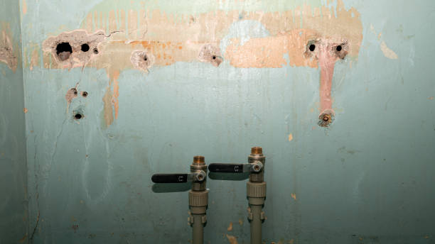 Best Water damage contractors near me  in Leon Valley, TX